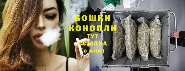 твердый Володарск
