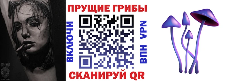 Купить Ворсма Галлюциногенные грибы мицелий